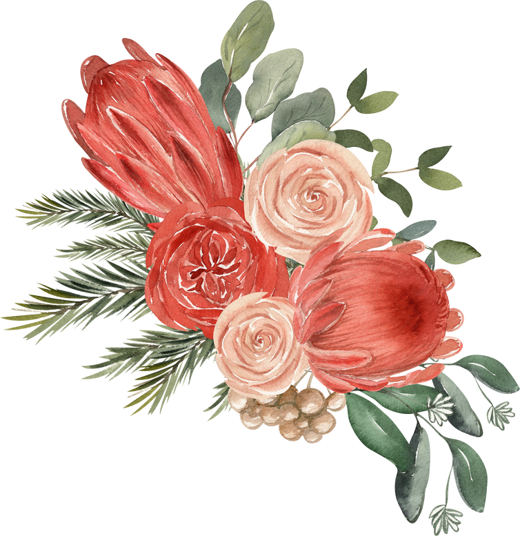 Watercolor winter bouquet with protea, roses, spruce